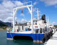 เรือสองลำ (Catamaran) สำหรับขาย
