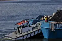เรือลากอวนจับปลา สำหรับขาย