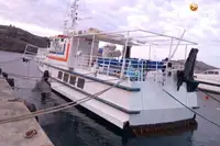เรือเฟอร์รี่ สำหรับขาย