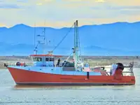 Trawler สำหรับขาย