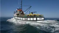 Trawler สำหรับขาย