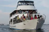 เรือโดยสาร สำหรับขาย