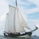 เรือยอชท์ สำหรับขาย