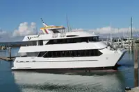 เรือสองลำ (Catamaran) สำหรับขาย