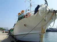 เรือลากอวนจับปลาหมึกแบบ Squid Jigger สำหรับขาย