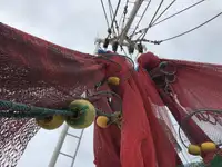 เรือลากอวน สำหรับขาย