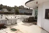 เรือเฟอร์รี่ สำหรับขาย