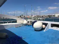 เรือสองลำ (Catamaran) สำหรับขาย