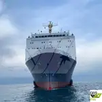เรือบรรทุกสินค้าแบบ Ro-Ro สำหรับขาย