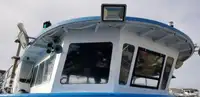 เรือสองลำ (Catamaran) สำหรับขาย