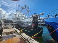 เรือลากอวน สำหรับขาย
