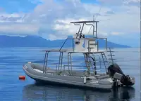เรือพองแข็ง สำหรับขาย