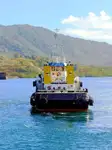 เรือลาก สำหรับขาย