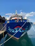 เรือเฟอร์รี่ สำหรับขาย
