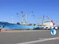 เรือห้องเย็น สำหรับขาย