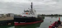 เรือลาก สำหรับขาย