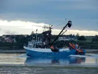 เรือลากอวนจับปลา สำหรับขาย