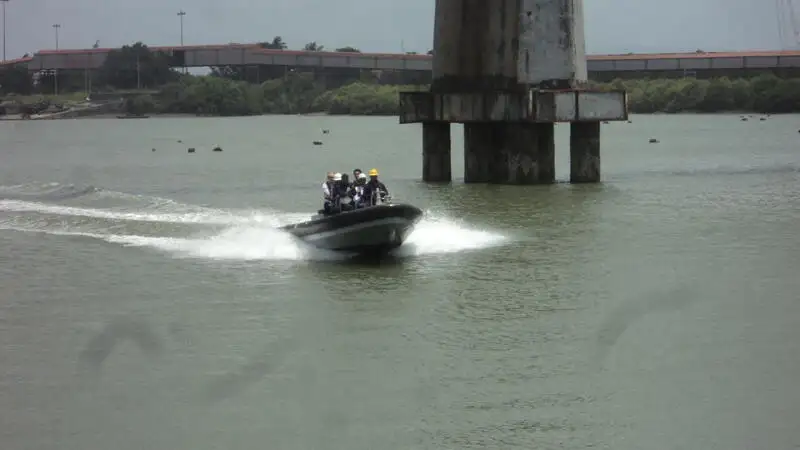 เรือยางแข็ง สำหรับขาย