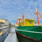 เรือลาดตระเวน สำหรับขาย