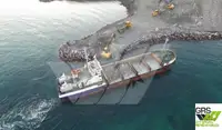 เรือขุด สำหรับขาย