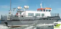 Wind farm service vessel สำหรับขาย