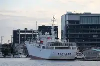 เรือลากอวน สำหรับขาย
