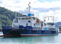 เรือสองลำ (Catamaran) สำหรับขาย