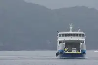 เรือบรรทุกสินค้าแบบ Ro-Ro สำหรับขาย