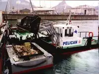 เรือบรรทุกสินค้า (Barge) สำหรับขาย