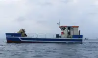 เรือโยง สำหรับขาย