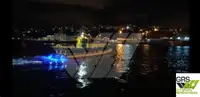 เรือบริการสำหรับฟาร์มกังหันลม สำหรับขาย
