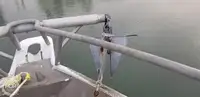 เรือลากอวน สำหรับขาย