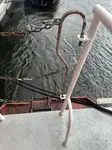 เรือนำร่อง สำหรับขาย
