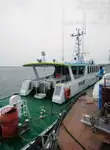 เรือนำร่อง สำหรับขาย