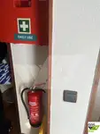 เรือสำราญ สำหรับขาย