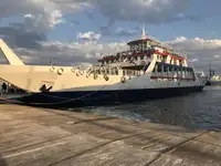 Ro-Ro ship สำหรับขาย