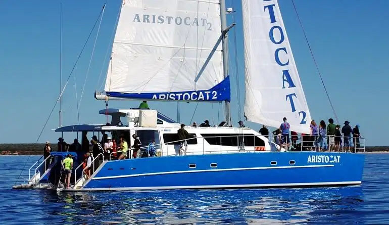 เรือสองลำ (Catamaran) สำหรับขาย