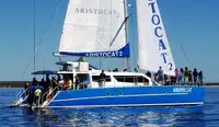 เรือสองลำ (Catamaran) สำหรับขาย