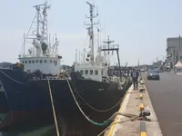 เรือลากอวน สำหรับขาย