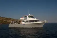 เรือเฟอร์รี่ สำหรับขาย
