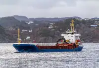 เรือบรรทุกสินค้าทั่วไป (Bulk Carrier) สำหรับขาย