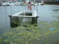 เรือขนส่ง สำหรับขาย