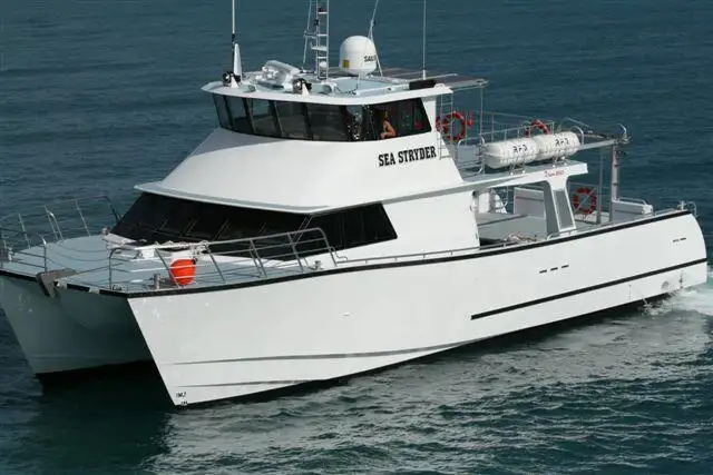เรือสองลำ (Catamaran) สำหรับขาย