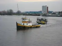 เรือลาก สำหรับขาย