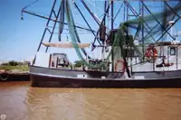 เรือลากอวน สำหรับขาย