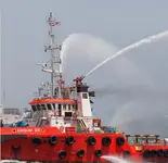 เรือลาก สำหรับขาย