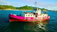 General Cargo/Multi-purpose สำหรับขาย