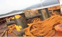 เรือขนส่งสัมภาระขึ้นฝั่งแบบมีถัง สำหรับขาย