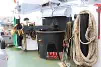 เรือลาก สำหรับขาย