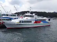เรือเฟอร์รี่ สำหรับขาย